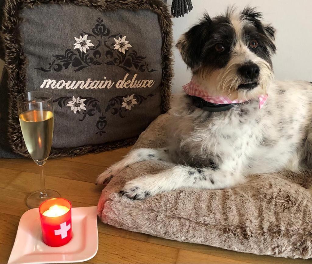 شقة Mountain Deluxe بارثولومابيرغ المظهر الخارجي الصورة
